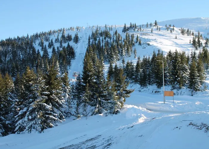 Suncani Breg * Kopaonik